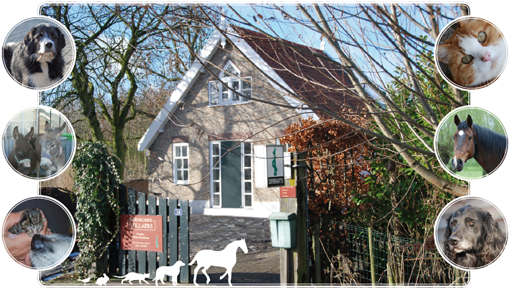 Dierenkliniek Vollaers te Vlaardingen