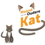 Oktober: maand van de oudere kat!