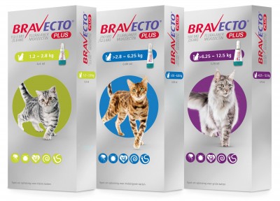 Hoe vaak moet ik mijn hond/kat ontwormen?