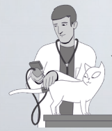 Hoge bloeddruk bij katten