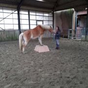 PPID test gratis!