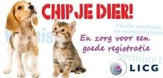 Juni- chipmaand - chip en registreer je dier!