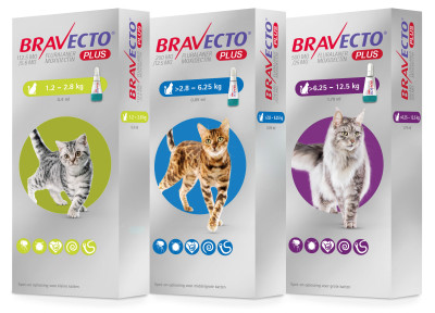 Hoe vaak moet ik mijn hond/kat ontwormen?